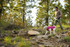 K-9 Overcoat by Ruffwear