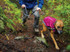 Sun Shower Dog Jacket by Ruffwear