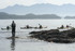 Escape to Clayoquot Sound | Finding Home in a Wild Place by John Dowd, Bea Dowd