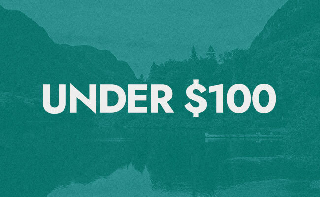 Under $100