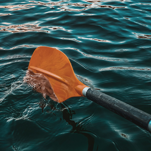 Paddles