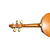 Top View