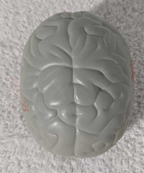 Top View