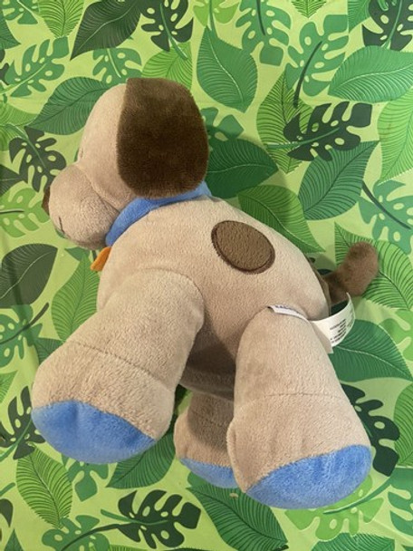 Top View