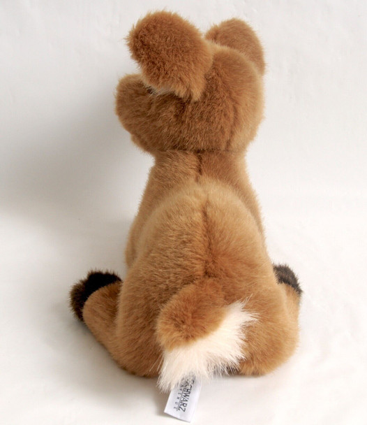Top View