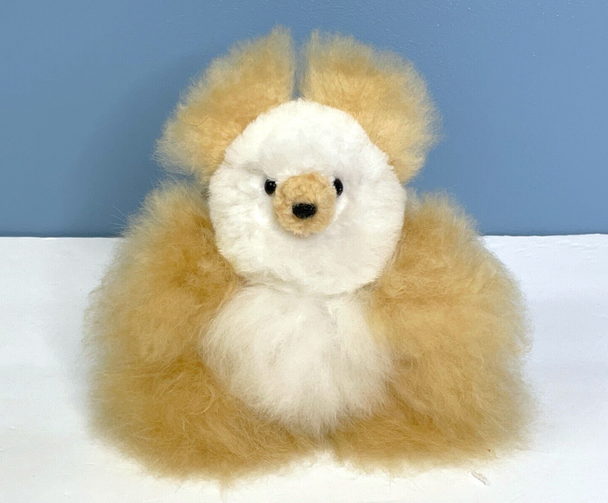 Top View