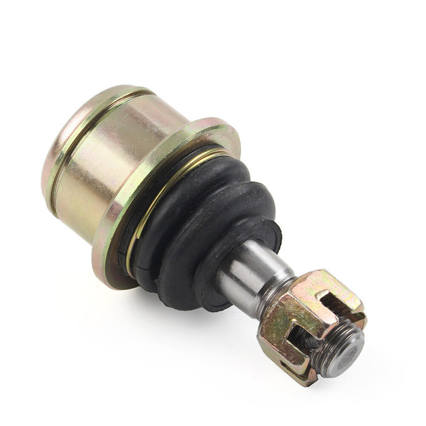 Top View