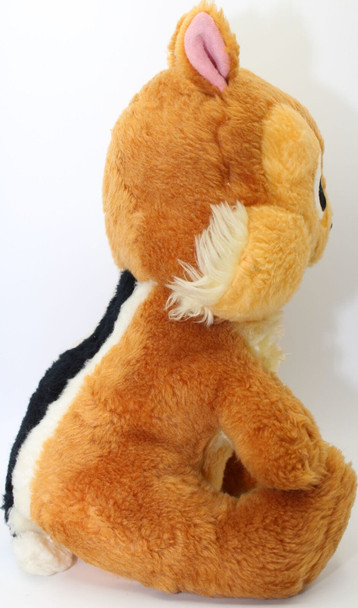 Top View