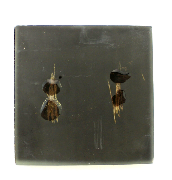 Top View