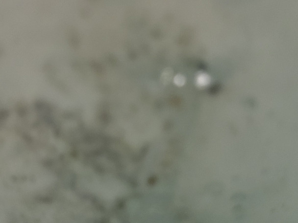 Top View