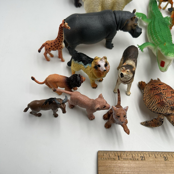 Top View