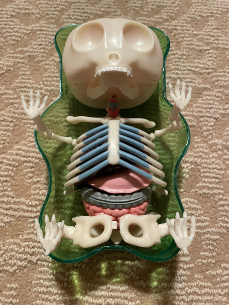 Top View