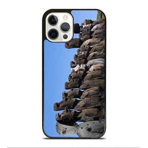 YNW MELLI RAPER MOAI iPhone 12 Pro Case Cover YNW MELLI RAPER MOAI iPhone 12 Pro Case Cover