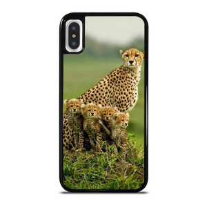 Great Natural Picture iPhone X / XS Case Cover Great Natural Picture iPhone X / XS Case Cover