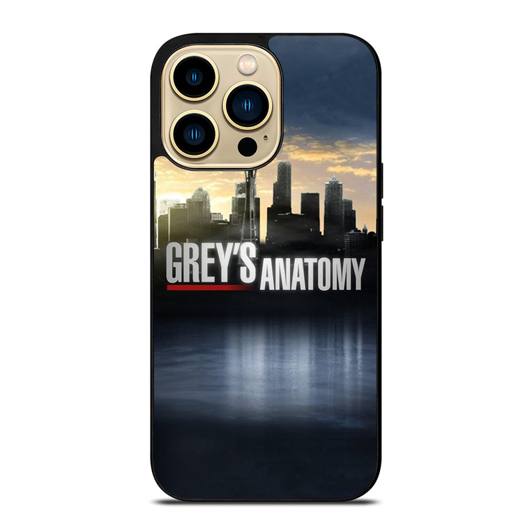 GREY'S ANATOMY CITY iPhone 14 Pro Max Case Cover