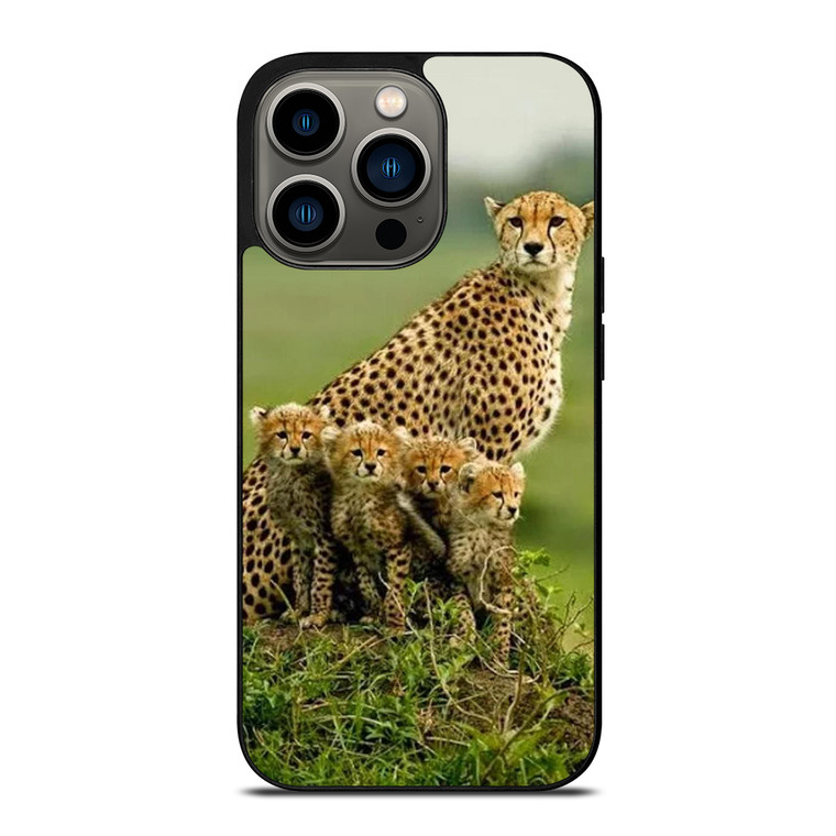 Great Natural Picture iPhone 13 Pro Case Cover