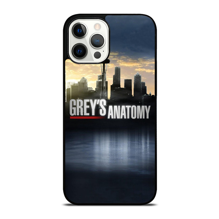 GREY'S ANATOMY CITY iPhone 12 Pro Max Case Cover