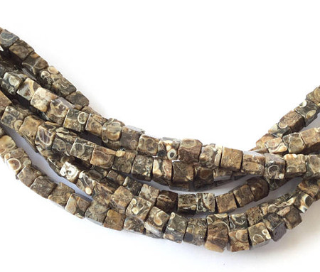 30 Fine Natural Turritella Agate Square Gemstone beads
