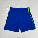 Under Armour Blue Athletic Shorts 2T