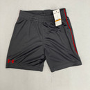 Under Armour Gray Athletic Shorts 3T