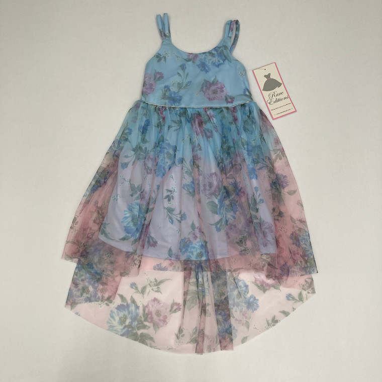 Rare Editions Floral Ombre Mesh Dress 4T