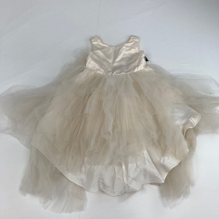 Rare Editions Ivory Tulle Dress 2T