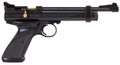 Crosman CO2 Powered 0.22 Cal Airgun, Black