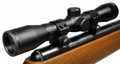 Crosman Vantage 0.177 Cal Air Rifle, Wood/Black