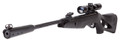 Gamo Silent Cat .177 Cal Air Rifle, Black