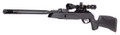 Gamo Swarm Maxxim 10X GEN 2 Multi-Shot Air Rifle .22 Cal, Black