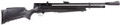 Beeman Chief II Synthetic .22 PCP Air Rifle, Black