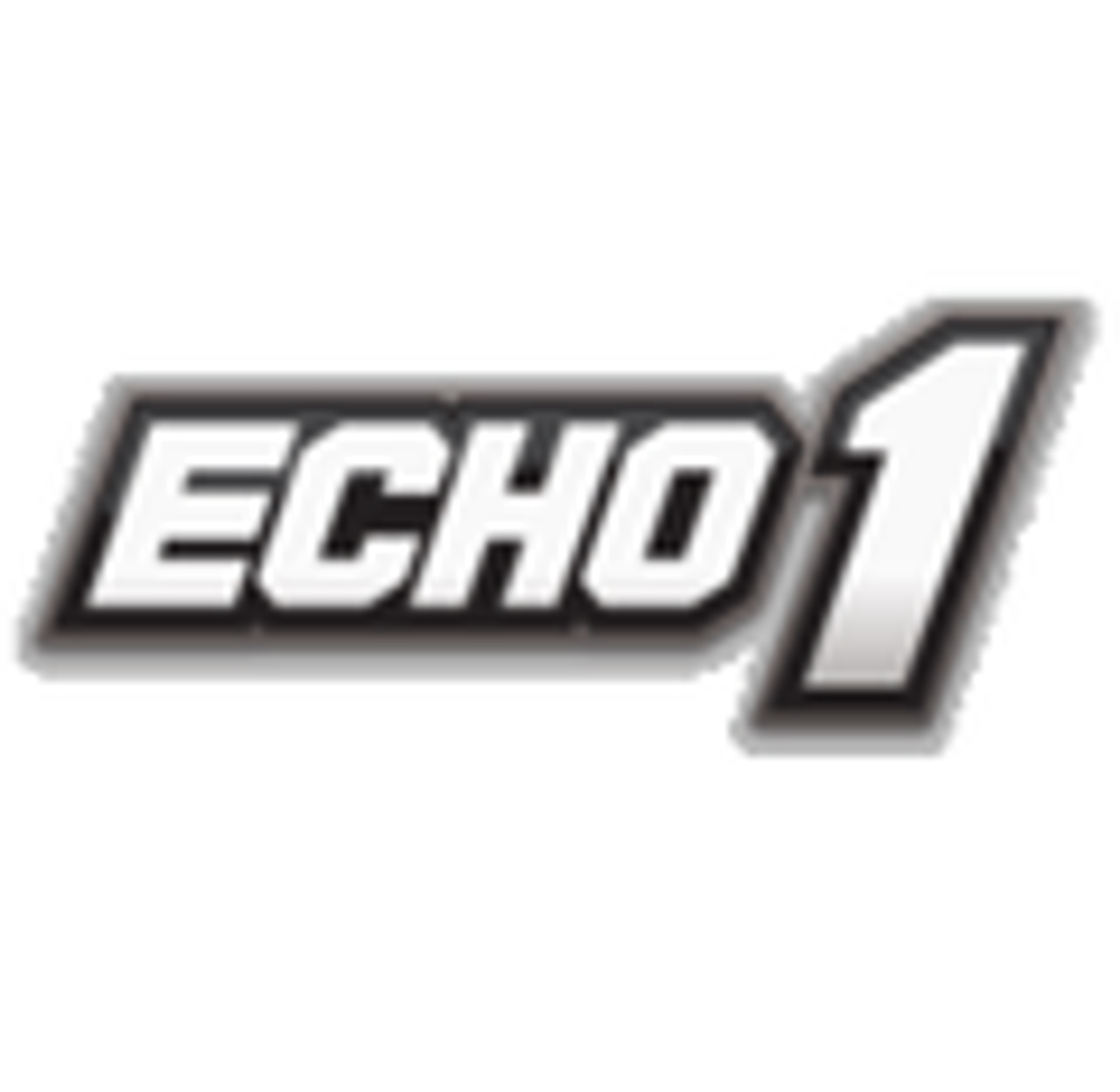 Echo 1 AEGs