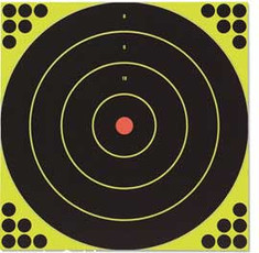 Birchwood Casey Shoot-N-C Bullseye Targets, 12", 5 Targets + 120 Pasters