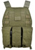 Flyye Industries 1000D Nylon MOLLE Streamlined Tactical Vest, Ranger Green