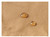 Lancer Tactical Gen4 Combat BDU Airsoft Shirt, Large, Tan