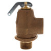 Apollo Valves 10-301-05 Relief Valve (3/4in, 30PSI)