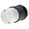 Hubbell Wiring Device-Kellems HBL2413 Locking Connector (Black, White, 125/250VAC, 20A, 3P, 4W)