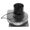 Lennox 74K77; 42250-001 Draft Inducer Motor (208/230v, 0.6A, 1/30hp, 3000RPM, CWLE)