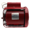 Bell & Gossett 111031 Motor (115v, 1/6hp, 1725RPM)