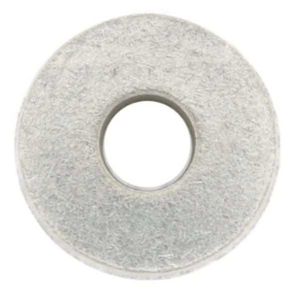 Armstrong Fluid Technology 425742-001 Washer