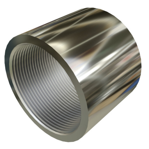 Calbrite S61000CP00 Coupling (Stainless Steel, 1in)