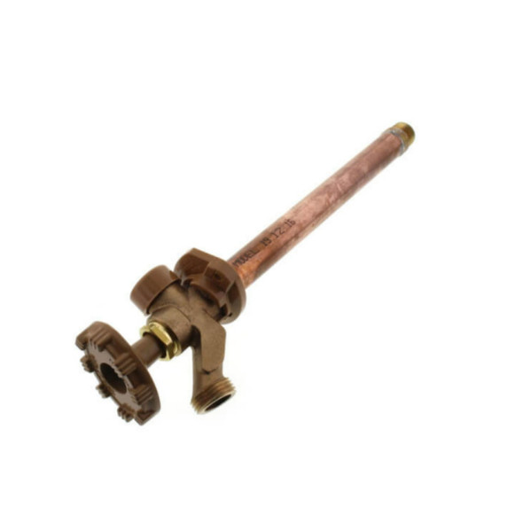 Woodford Manufacturing 19CP-8 Wall Hydrant (1/2in)