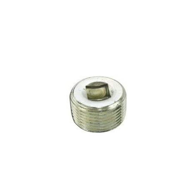 Appleton PLG-50R Plug (Steel, 1/2in)