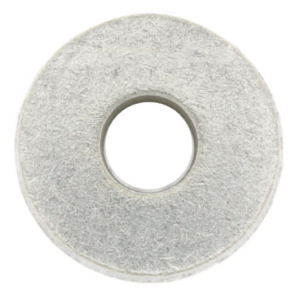 Armstrong Fluid Technology 425742-001 Washer