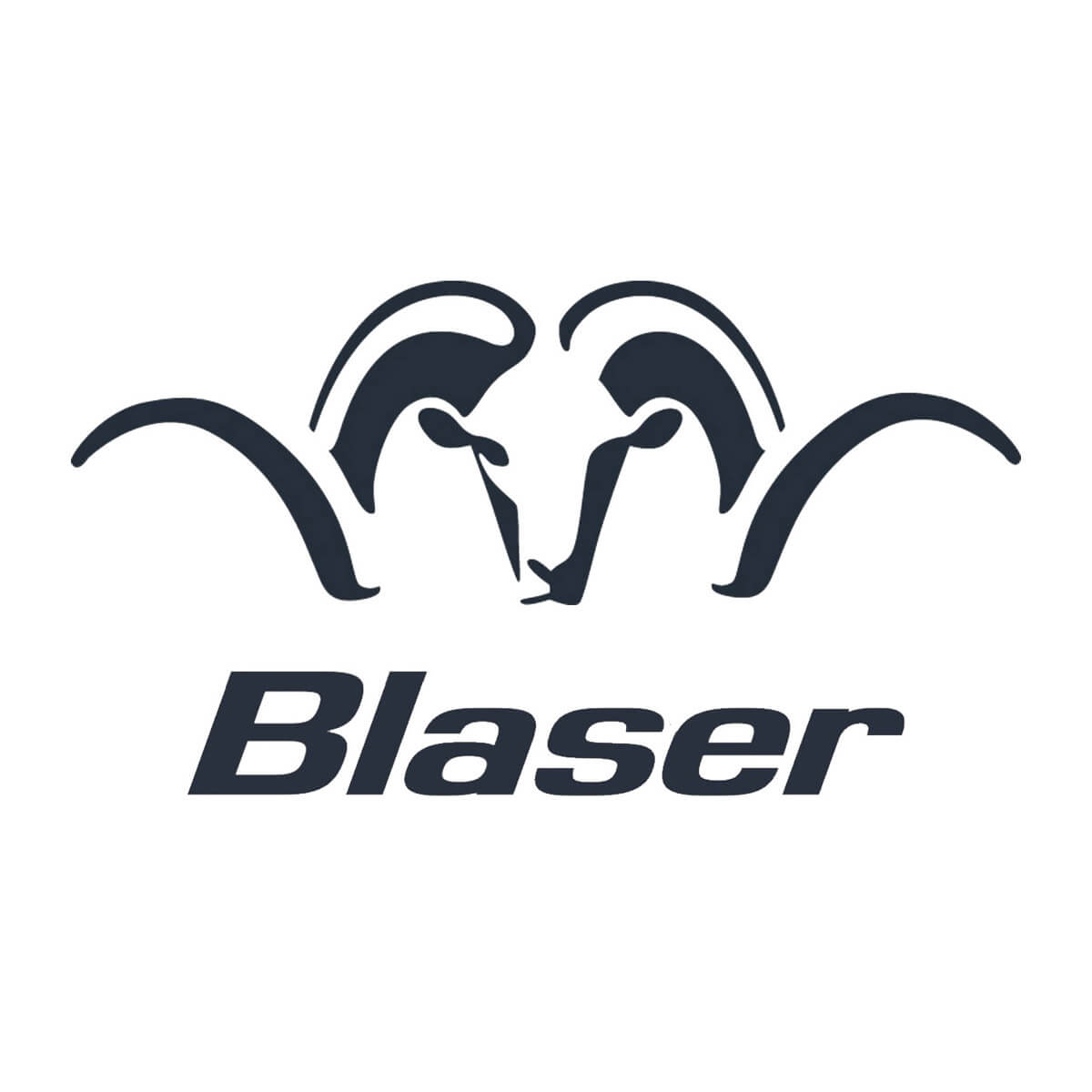 Blaser RifleAccessories