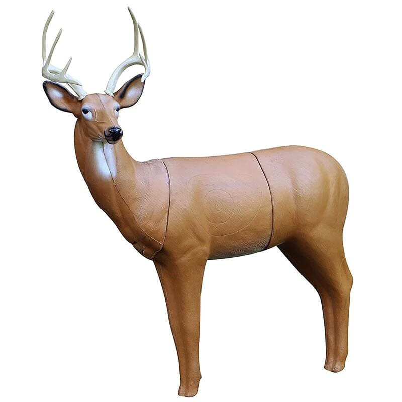 BIGshot XRAY Series Big Buck Deer 3D Archery Target 8020