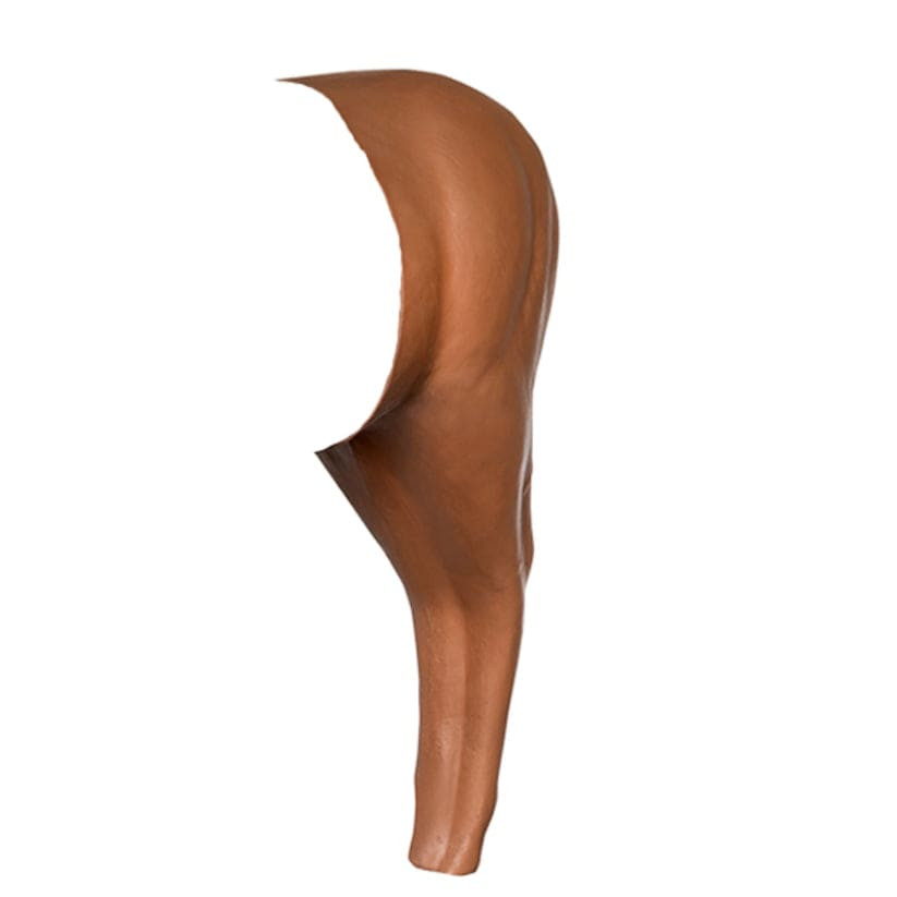 BIGShot X-Ray Series Big Buck Rear Section Target 8022