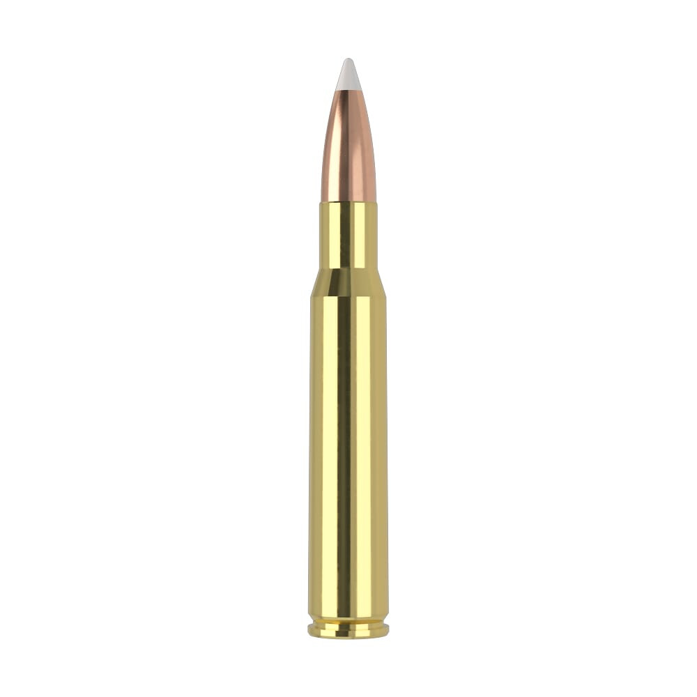 Nosler Trophy Grade TGA-30-06 Sprg 180g AB SP (20ct) Ammunition 46134