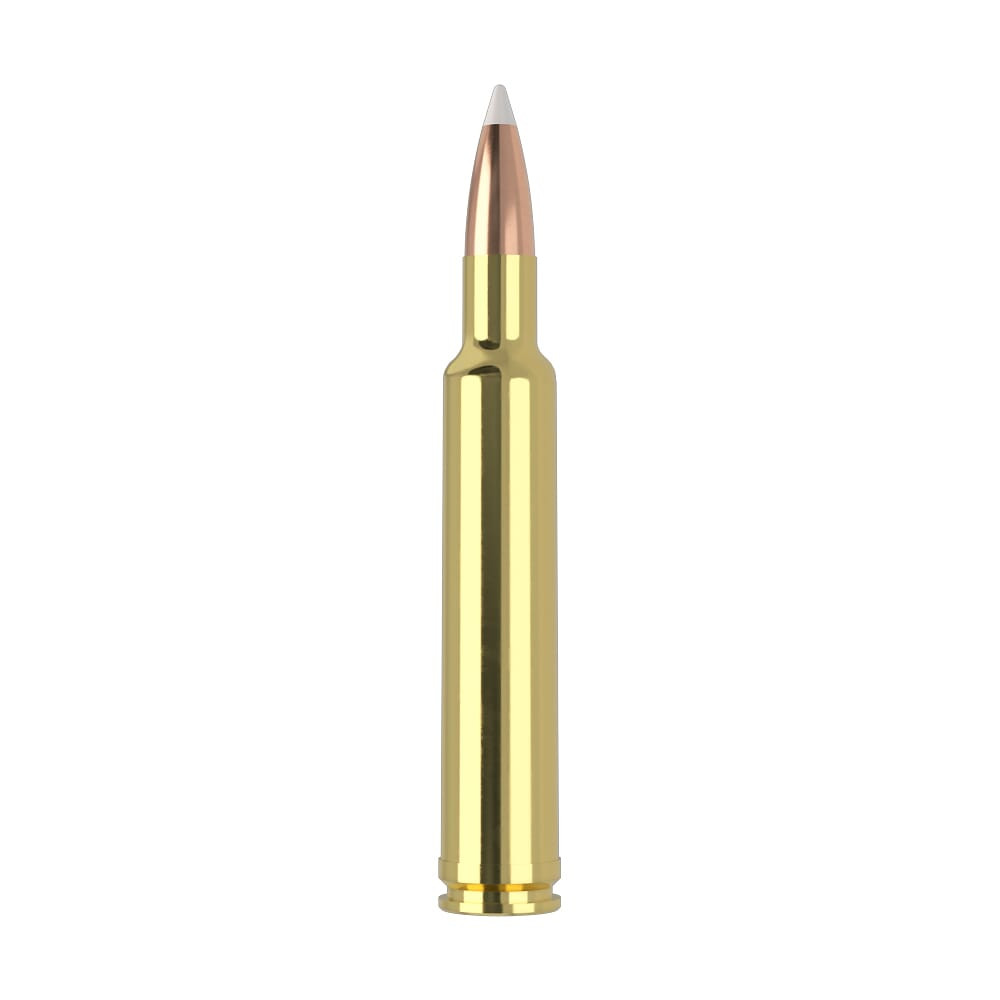 Nosler Trophy Grade TGA-300 Wby Mag 180g AB SP (20ct) Ammunition 48643