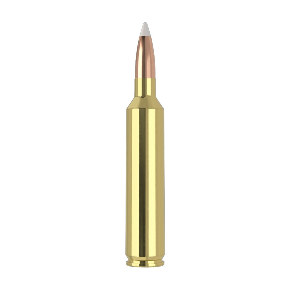 Nosler Trophy Grade TGA-26 Nosler 140g AB SP (20ct) Ammunition 60014